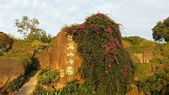 东岩山公园花开_东岩山公园花开时间